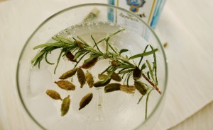 Gin Botanicals cocktail