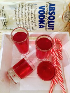 Cranberry Vodka shots